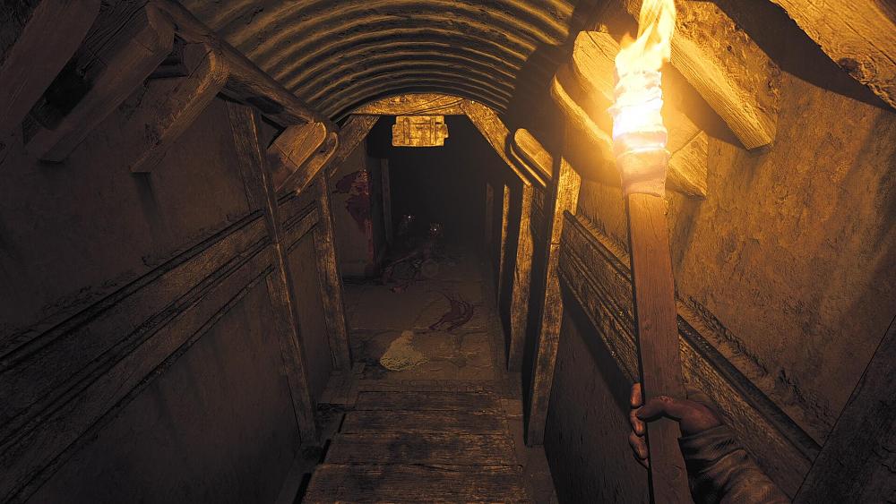 First person view of a character holding a torch in their right hand looking down a tunnel towards some giant rats feasting in the darkness.