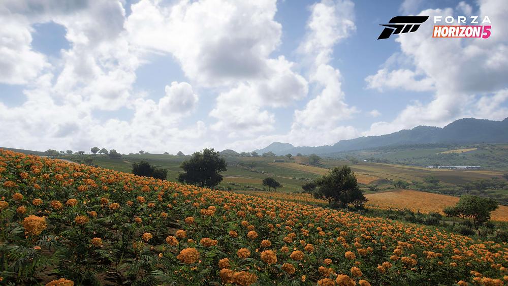 Click image for larger version

Name:	FH5_Biome-Farmland-01-16x9_WM.jpg
Views:	7966
Size:	1.01 MB
ID:	3512163