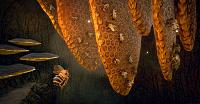 Click image for larger version

Name:	BeeSim_Reannonce_Screen3.jpg
Views:	327
Size:	976.1 KB
ID:	3497058