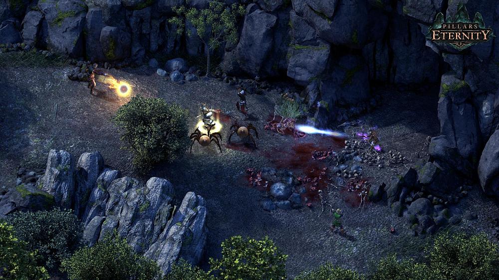 A screenshot of a fantasy CRPG, Pillars of Eternity.