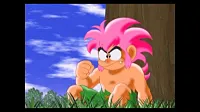 Click image for larger version

Name:	Tomba-Special-Edition-Screenshot-17.webp
Views:	140
Size:	66.8 KB
ID:	3531583
