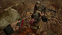 Click image for larger version

Name:	BlairWitchVR_OculusRift_Cassette.jpg
Views:	300
Size:	705.6 KB
ID:	3512536