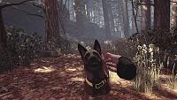 Click image for larger version

Name:	BlairWitchVR_OculusRift_Petting.jpg
Views:	276
Size:	915.6 KB
ID:	3512538