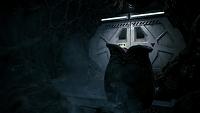 Click image for larger version  Name:	Aliens Fireteam (8).jpg Views:	0 Size:	104.1 KB ID:	3508854