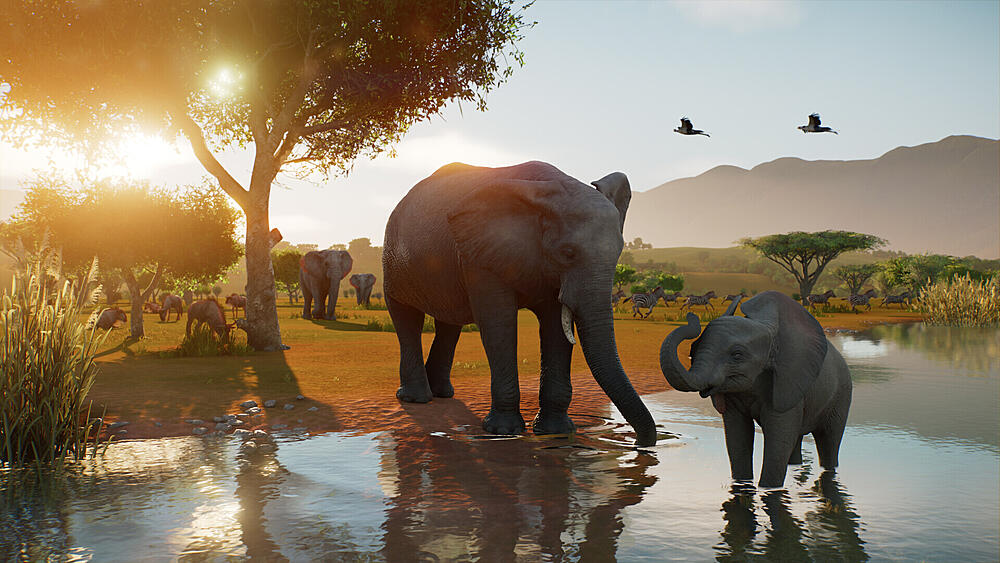 A herd of elephants in a wildlife preserve in Planet Zoo 2.