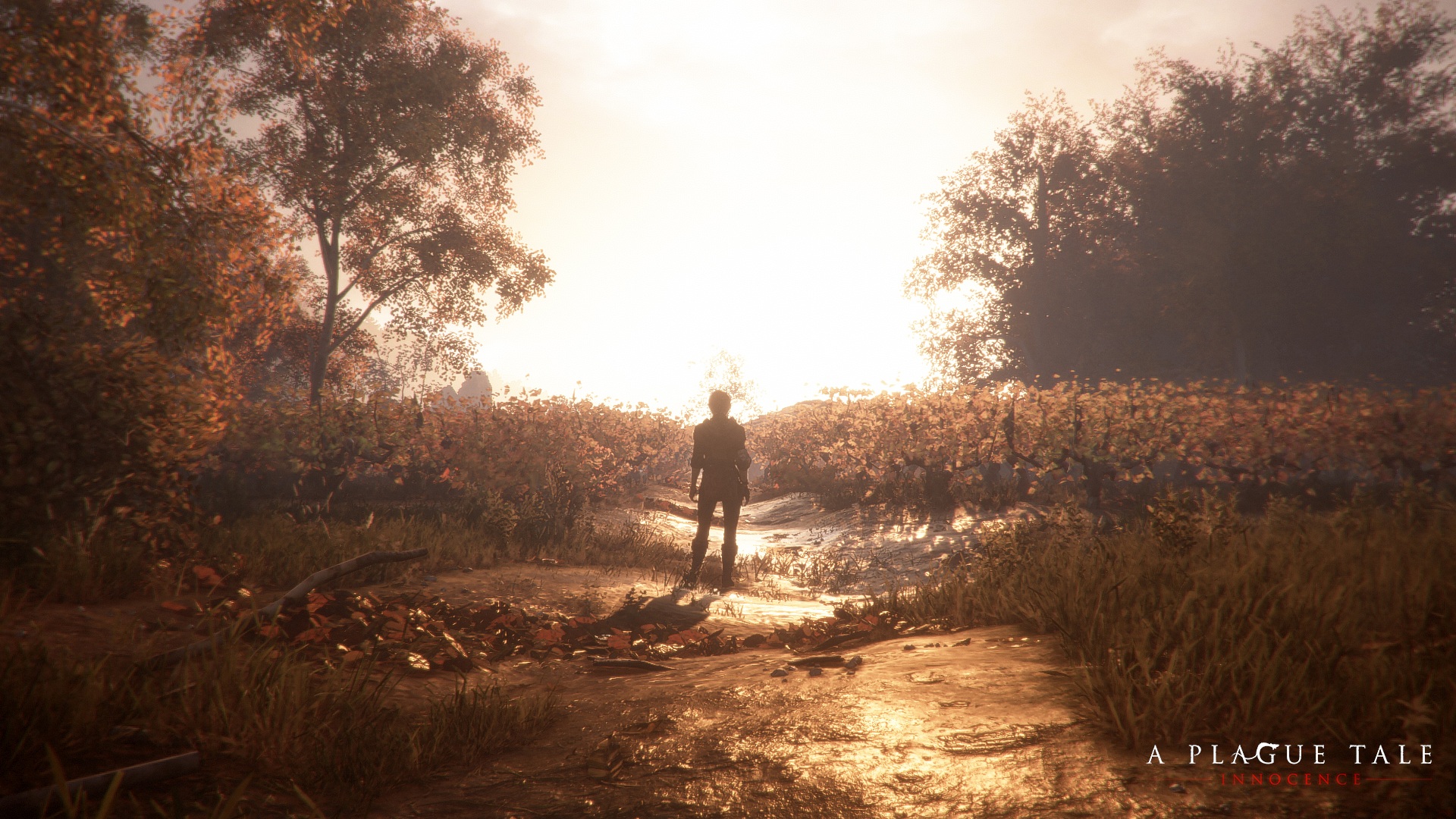 Click image for larger version

Name:	A_Plague_Tale-Innocence-10_logo.jpg
Views:	1
Size:	732.8 KB
ID:	3491729