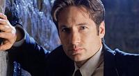 Click image for larger version  Name:	david-duchovny-193763.jpg Views:	1 Size:	48.3 KB ID:	3494398