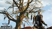 Click image for larger version

Name:	Witcher3-Switch-They_call_it_the_Hanged_Mans_Tree_for_a_reason-RGB-EN.jpg
Views:	447
Size:	294.6 KB
ID:	3495587