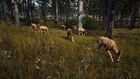 Click image for larger version

Name:	Way_of_the_Hunter_Announcement_Screenshot_MuleDeer.jpg
Views:	165
Size:	1.34 MB
ID:	3519390