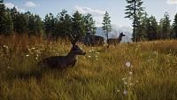 Click image for larger version

Name:	Way_of_the_Hunter_Announcement_Screenshot_White_Tail_Deer.jpg
Views:	173
Size:	1.35 MB
ID:	3519392