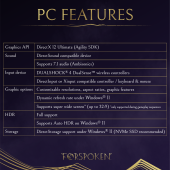 Infographic detailing some of the basic PC features for the upcoming video game, Forspoken.