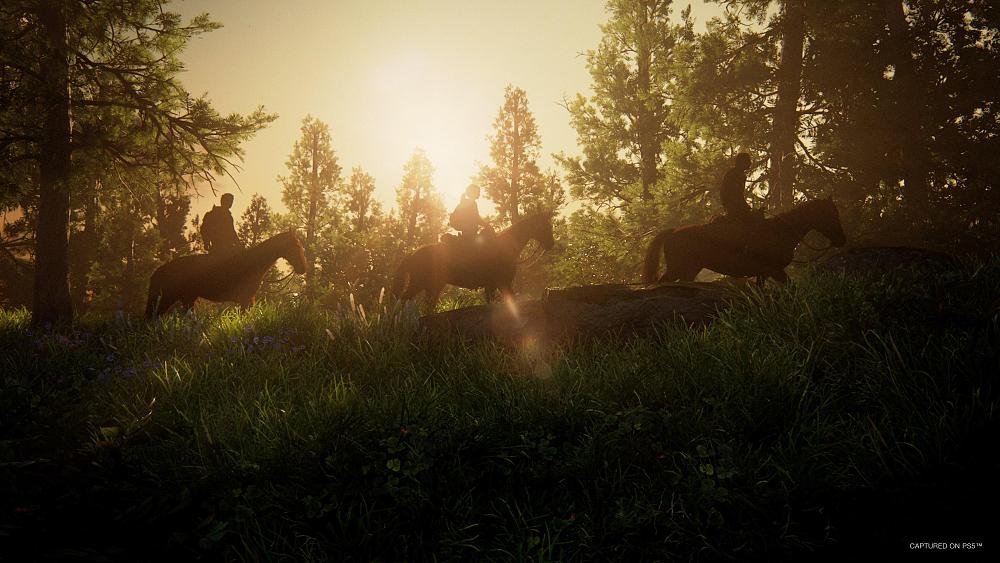 Three people riding horses through a forest meadow. The sun is facing the camera causing the riders and horses to be silhouettes.