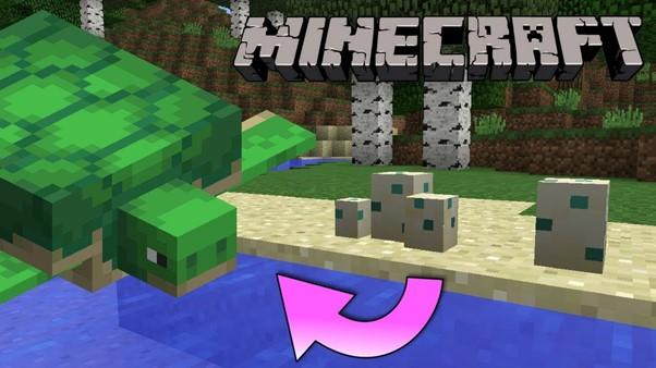 How Long Does It Take For Turtle Eggs To Hatch In Minecraft And - Total Gaming Network